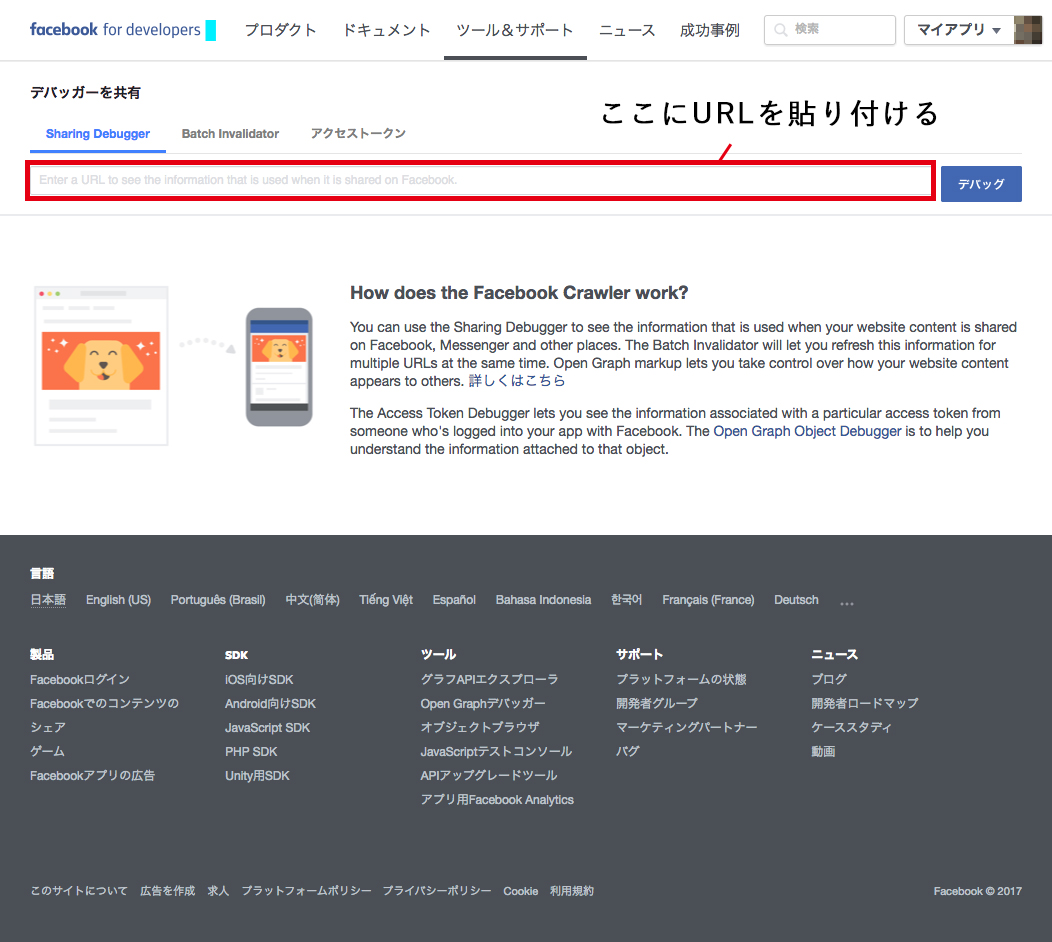 facebook for develpers デバッガーページ